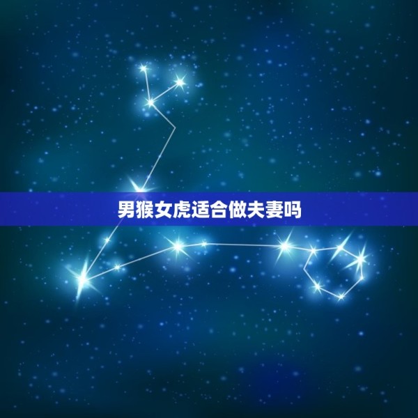 男猴女虎适合做夫妻吗(讨论星座配对是否靠谱) 第3张