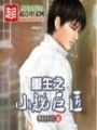 重生之小说巨匠在线阅读