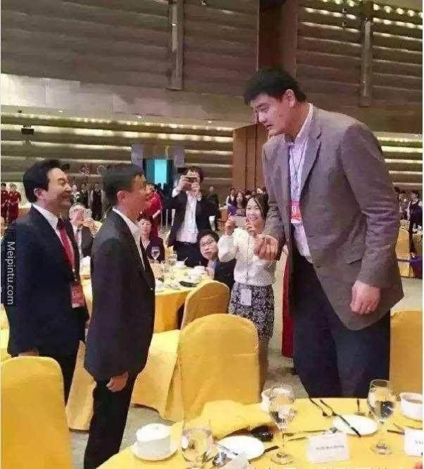 7位明星和姚明合影，个个都惨不忍睹，唯独只有和她最和谐