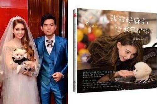 娱乐圈里的这些明星狗奴们 为爱犬不惜一掷千金