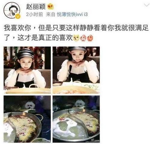 娱乐圈里的这些明星狗奴们 为爱犬不惜一掷千金