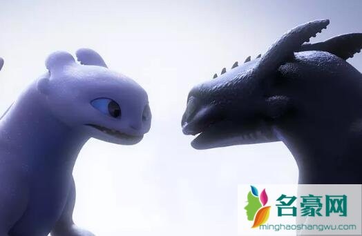 无牙仔尾巴长出来了吗