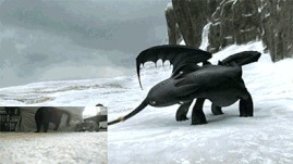 驯龙高手里无牙仔的真相，它其实不是龙，是猫！