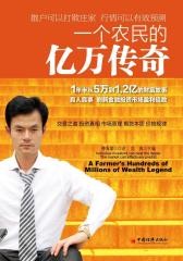 一个农民的亿万传奇