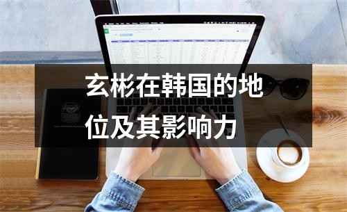 玄彬在韩国的地位及其影响力
