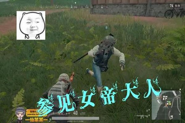 王大娘微博真人照资料 锋芒难掩的实力派女王