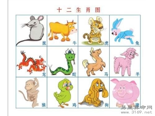 女属羊和男属龙婚姻相配吗