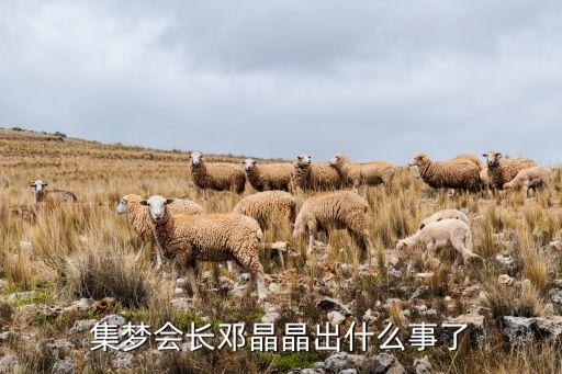 集梦会长邓晶晶出什么事了