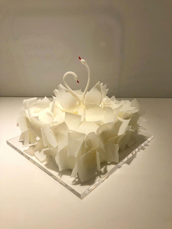 饼干，还是蛋糕？