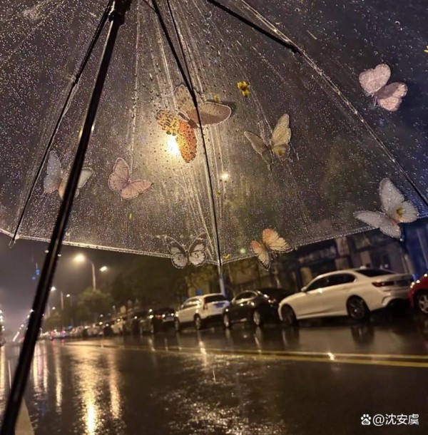 生日蛋糕的奥秘：揭秘隐藏在甜蜜背后的故事