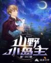 男主女主是福娃,夏景雪,蓝海龙的小说是什么_山野小岛主