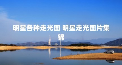 明星各种走光图 明星走光图片集锦