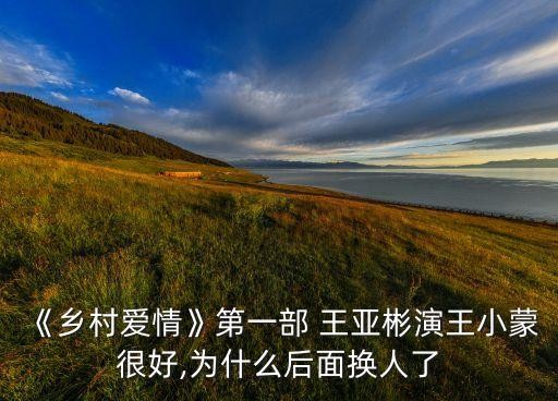《乡村爱情》第一部 王亚彬演王小蒙很好,为什么后面换人了
