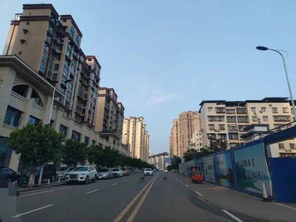 蓬安；城区机动车道上居然有两条大黄狗在“散步”！地面还有不少这种物体！