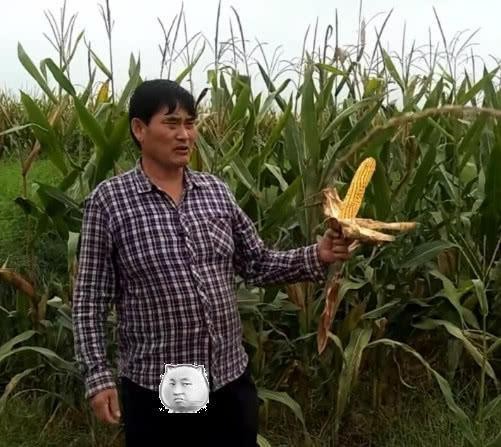 大衣哥爆红后被邻居害惨，将他当“衣食父母”，靠他买房买车！