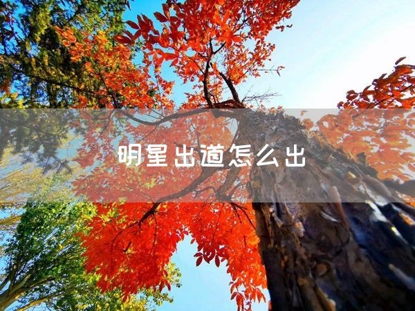明星出道怎么出