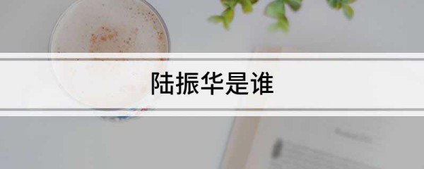 陆振华是谁
