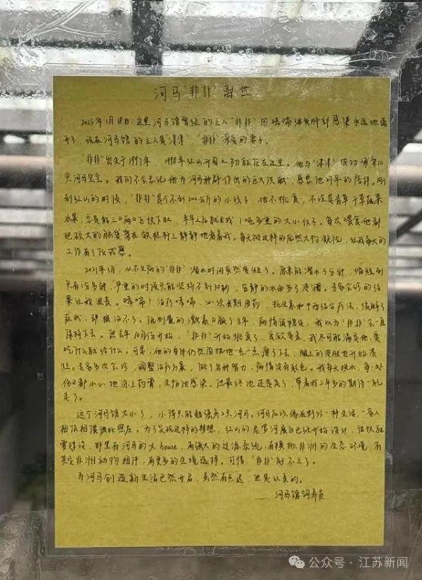 河马“非非”离世，饲养员手写讣告打动众人