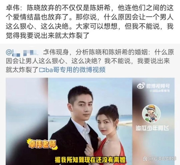 “陈晓陈妍希婚姻迷雾：卓伟揭秘，一场爱与放弃的娱乐圈悲歌”