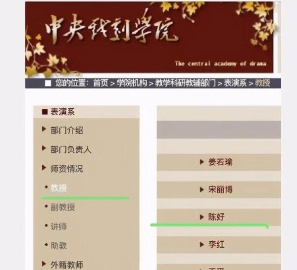 陈好教授事件 确实有许多艺人担任了高校的教授
