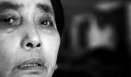 不让停车岳阳云溪区国税副局长拳打老太(图)