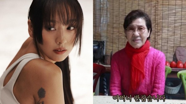 李孝利婆婆谈儿媳妇初印象：因为是名人，感到有压力！目前已放弃催生