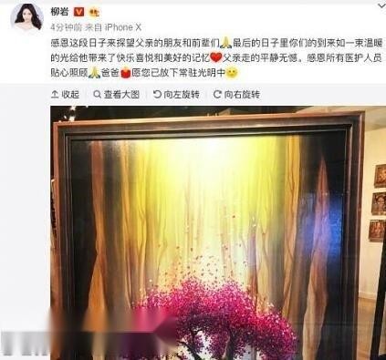 柳岩是领养的吗为什么不跟爹妈姓 柳岩有几个兄弟姐妹