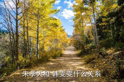 朱孝天和 韩雯雯什么关系
