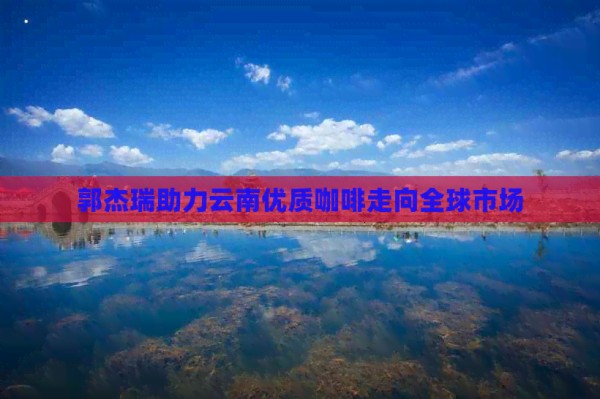 郭杰瑞助力云南优质咖啡走向全球市场