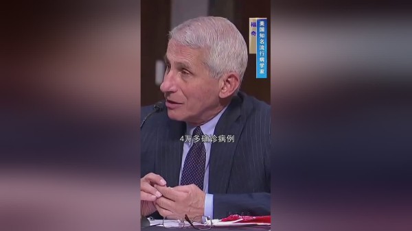 美抗疫专家福奇：美国新冠病例日增10万也不奇怪