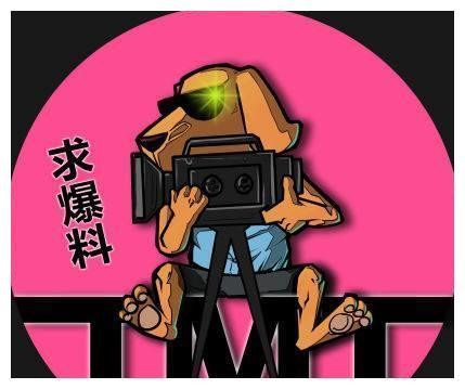 女星见闺蜜嫁入豪门，心生嫉妒插足闺蜜婚姻，生多胎仍不能入豪门