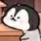 每天每天每天