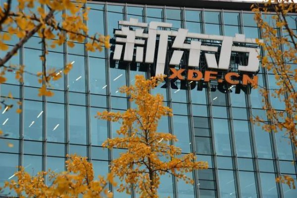 俞敏洪不认怂