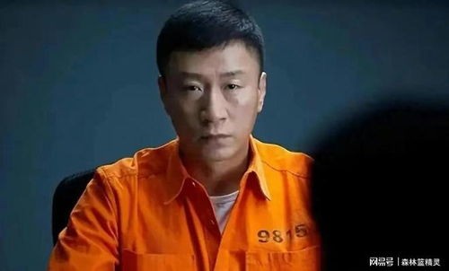 孙红雷巨额资产转移,揭秘其海外定居真相