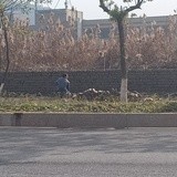精真估种植中心
