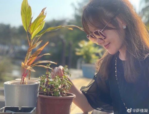 薛佳凝淡出娱乐圈的原因竟是这个 薛佳凝否认新恋情传闻说了什么