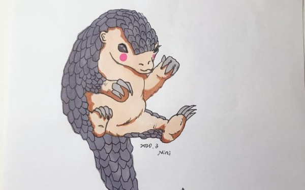 穿山甲儿童画