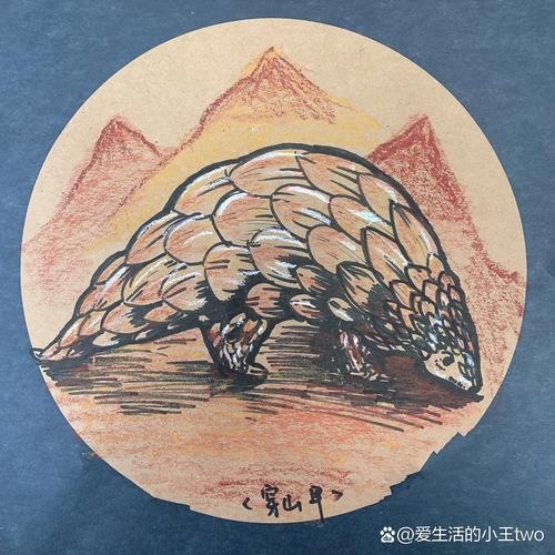 穿山甲儿童画