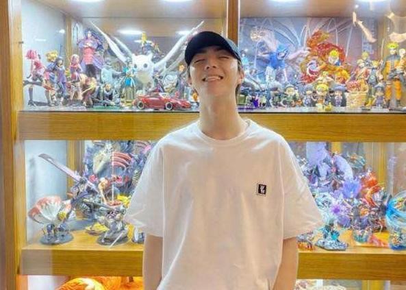 刘昊然玩绝版乐高，陈立农满墙手办，男明星的爱好真烧钱！