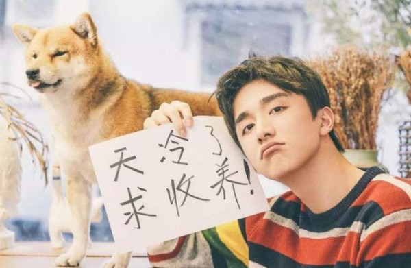 刘昊然玩绝版乐高，陈立农满墙手办，男明星的爱好真烧钱！