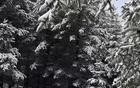 立夏节气下大雪？山西芦芽山关闭所有景点