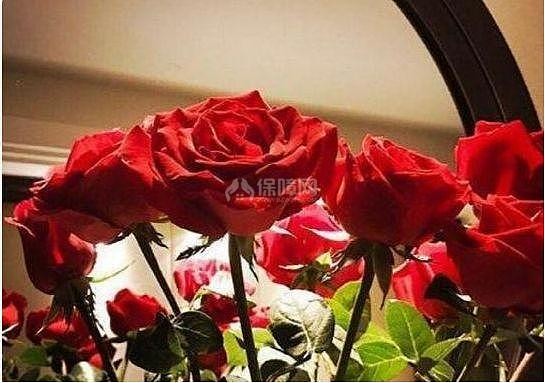 明星王丽坤的家居布局温馨舒适 而且还充满浪漫气息