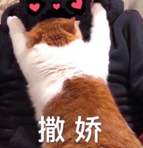 社交心理：把恭维说的不动声色，将对方捧“服”，才能左右逢源