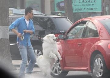 揭秘周杰陈道明矛盾事件真相 陈道明并不会计较