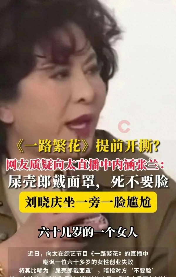 史女士背景深厚：炮轰向太，竟让张兰背锅，揭秘其不简单人生