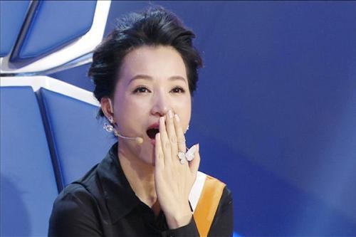 岁董卿和陆毅的真实关系曝光网友真是让人想不到