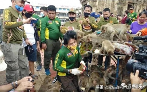 双胞胎明星请猴子吃“大餐”