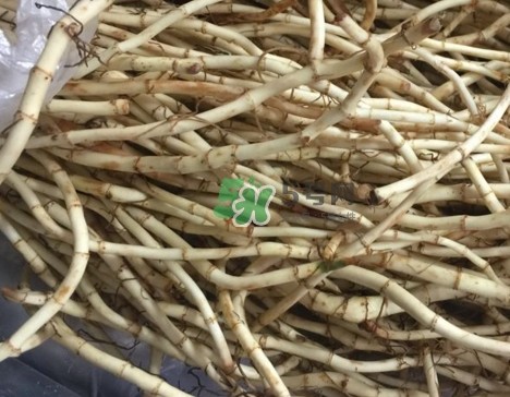 鱼腥草干的好还是新鲜的好？干的鱼腥草怎么吃最好