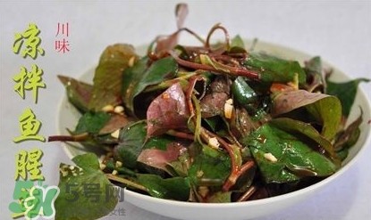 吃鱼腥草可以喝酒吗？吃鱼腥草能喝酒吗
