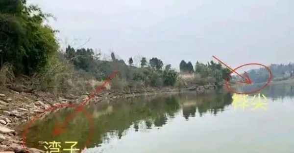 清明前后鱼群全藏在这6个位置！下竿就狂拉，塘主连夜封钓！